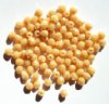 100 4mm Faceted Opaque Beige Lustre Firepolish Beads